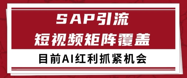 小红书某音sap赛道引流获客 自热矩阵日引200+【揭秘】-低成本创业项目大全｜短视频带货+AI副业变现｜知行创业网
