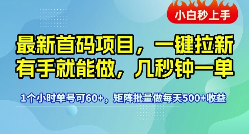最新首码项目，一键拉新有手就能做，几秒钟一单，1个小时单号可60+，矩阵批量做每天5张【揭秘】-低成本创业项目大全｜短视频带货+AI副业变现｜知行创业网