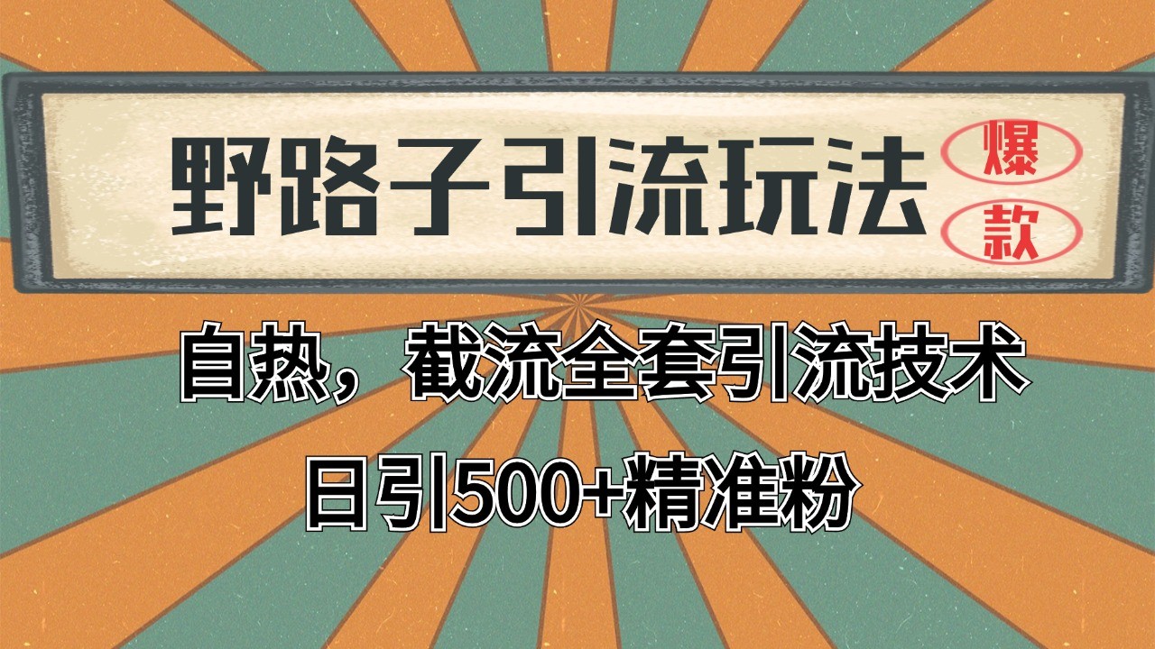 2024首发野路子引流玩法截流自热全平台打法，全自动引流【日引2000+精准客户】-低成本创业项目大全｜短视频带货+AI副业变现｜知行创业网