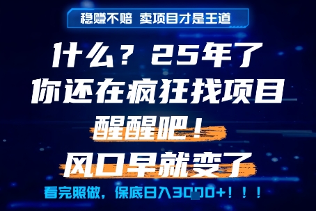 什么？25年你还在疯狂找项目做，醒醒吧，看完这些你全都懂了！【揭秘】-低成本创业项目大全｜短视频带货+AI副业变现｜知行创业网