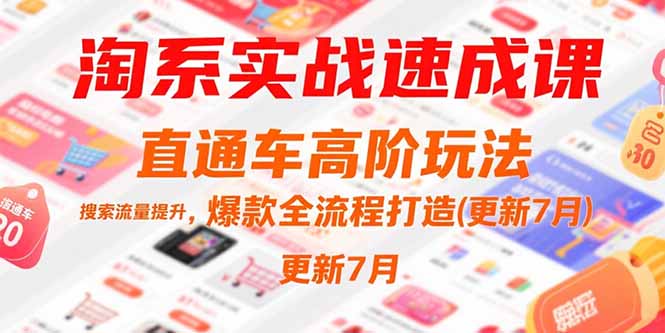 （15374期）淘系实战速成课，直通车高阶玩法，搜索流量提升，爆款全流程打造(更新7月)-低成本创业项目大全｜短视频带货+AI副业变现｜知行创业网