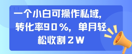 一个小白可操作私域，转化率90%，单月轻松收割2W-低成本创业项目大全｜短视频带货+AI副业变现｜知行创业网