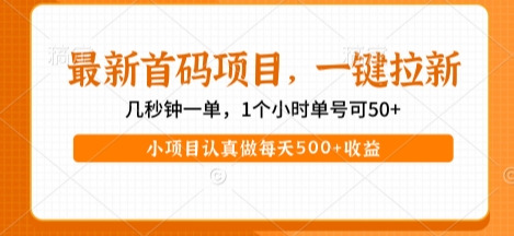 最新首码项目，操作最简单，收益高，一键拉新，1个小时单号可50+，小项目认真做每天5张+收益【揭秘】-低成本创业项目大全｜短视频带货+AI副业变现｜知行创业网