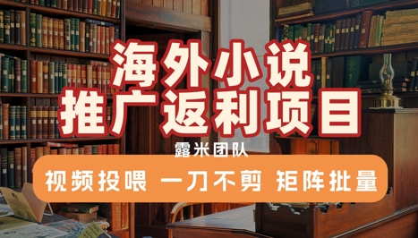 海外小说推广返利项目，视频投喂， 一刀不剪，矩阵批量-低成本创业项目大全｜短视频带货+AI副业变现｜知行创业网