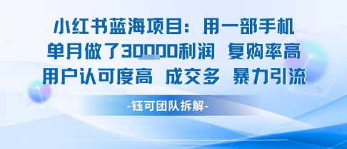 小红书蓝海项目，一部手机单月做了3W利润，小白也能月入过1W用户认可度高成交多-低成本创业项目大全｜短视频带货+AI副业变现｜知行创业网