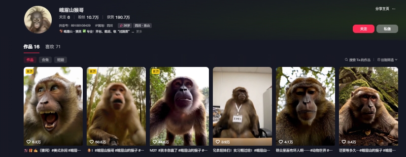 图片[2]-最新爆火的峨眉山猴子短视频制作教程，条条点赞10w+，谁做谁火【教程+提示词】-低成本创业项目大全｜短视频带货+AI副业变现｜知行创业网