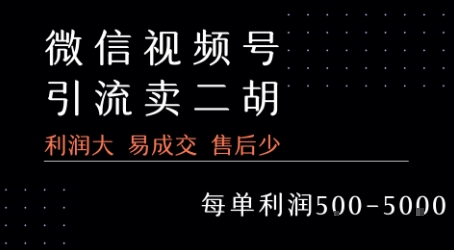 视频号卖二胡教程，利润大 易成交 售后少，一单利润5张+-低成本创业项目大全｜短视频带货+AI副业变现｜知行创业网