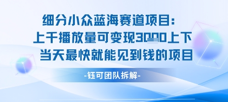 小众蓝海赛道项目：当天变现1k+适合新手操作 +适合长期玩-低成本创业项目大全｜短视频带货+AI副业变现｜知行创业网