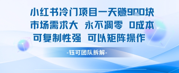 小红书冷门项目一天收益9张，市场需求大，0成本，可复制性强可以矩阵操作-低成本创业项目大全｜短视频带货+AI副业变现｜知行创业网