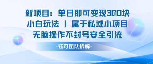 新项目单日即可变现3张的小白玩法无脑操作不封号安全引流-低成本创业项目大全｜短视频带货+AI副业变现｜知行创业网