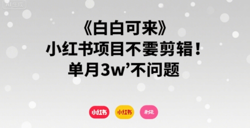 小白可来 小红书项目不需要剪辑 单月3w不是问题-低成本创业项目大全｜短视频带货+AI副业变现｜知行创业网