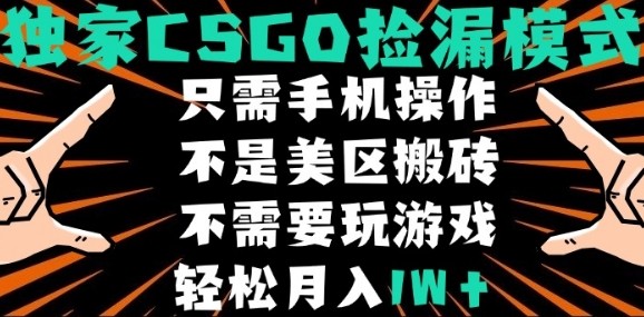 CSGO自动捡漏项目，最新独家玩法，不是美区搬砖，不需要了解和玩游戏，新手小白轻松月入1W+【揭秘】-低成本创业项目大全｜短视频带货+AI副业变现｜知行创业网