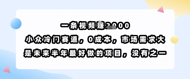一条视频挣1k，小众冷门赛道，0成本，市场需求大，是未来半年最好做的项目，没有之一-低成本创业项目大全｜短视频带货+AI副业变现｜知行创业网
