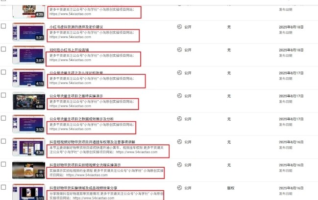 图片[2]-2025油管引流术，分享我是如何通过油管做引流的-低成本创业项目大全｜短视频带货+AI副业变现｜知行创业网