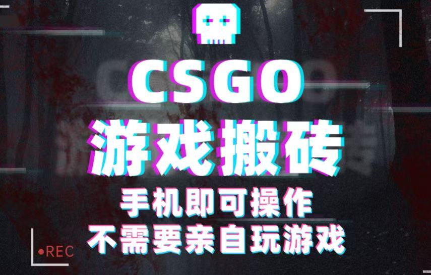 CSGO游戏挂机捡漏，单日扫货500+，年底小高峰上车可吃肉，手机即可操作兼职副业-低成本创业项目大全｜短视频带货+AI副业变现｜知行创业网