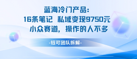 蓝海项目：16条笔记私域变现9750米小众赛道操作的人不多-低成本创业项目大全｜短视频带货+AI副业变现｜知行创业网