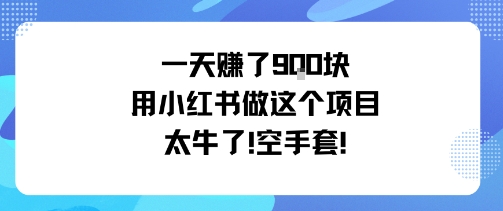 一天挣了9张用小红书做这个项目太牛了，空手套-低成本创业项目大全｜短视频带货+AI副业变现｜知行创业网