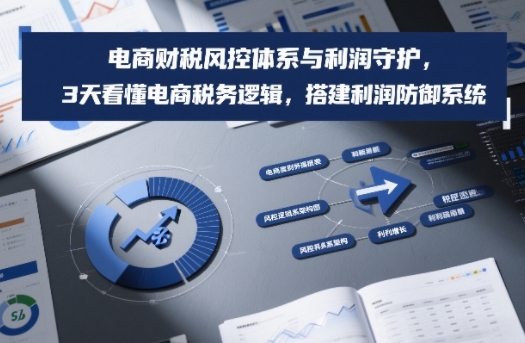 电商财税风控体系与利润守护，3天看懂电商税务逻辑，搭建利润防御系统-低成本创业项目大全｜短视频带货+AI副业变现｜知行创业网