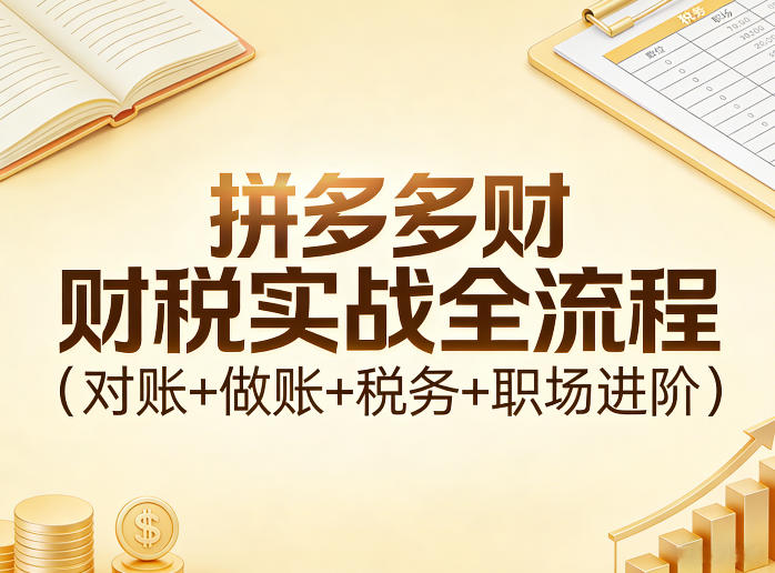 拼多多财税实战全流程（对账+做账+税务+职场进阶）-低成本创业项目大全｜短视频带货+AI副业变现｜知行创业网