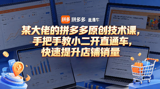 某大佬的拼多多原创技术课，手把手教小二开直通车，快速提升店铺销量-低成本创业项目大全｜短视频带货+AI副业变现｜知行创业网