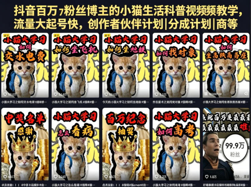 抖音百万粉丝博主的小猫生活科普视频教学，流量大起号快，创作者伙伴计划|分成计划|商单|收徒等-低成本创业项目大全｜短视频带货+AI副业变现｜知行创业网