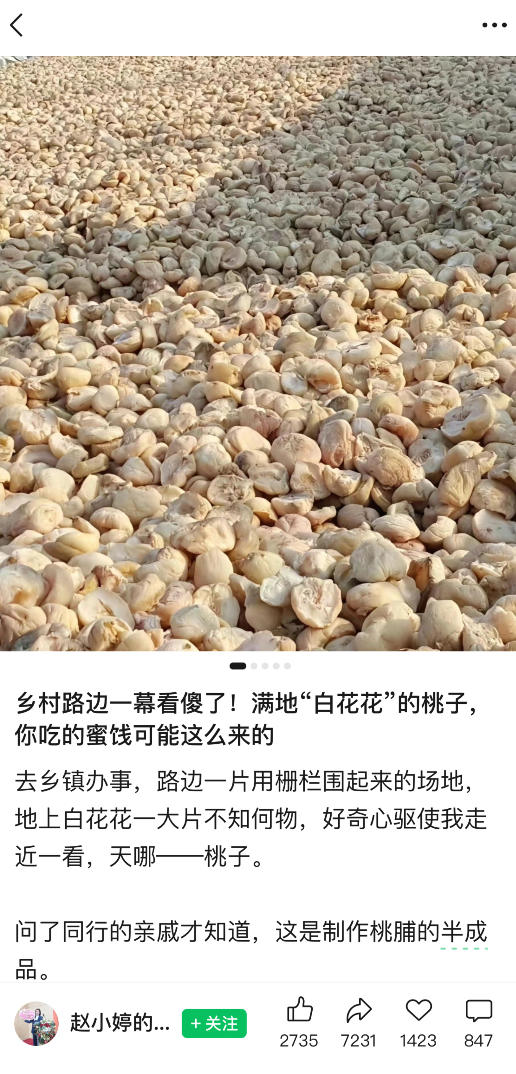 图片[2]-公众号小绿书贴图项目，赚收益实操玩法，听话照听话照少走90%弯路丨副业可做-低成本创业项目大全｜短视频带货+AI副业变现｜知行创业网
