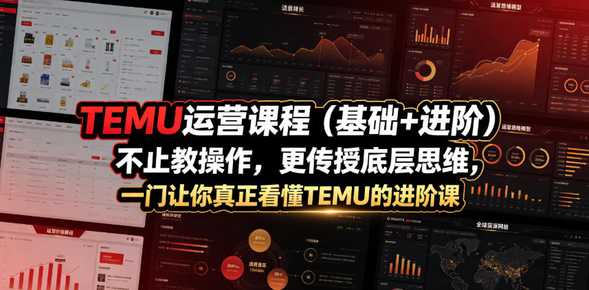 TEMU运营课程（基础+进阶），不止教操作，更传授底层思维，一门让你真正看懂TEMU的进阶课-低成本创业项目大全｜短视频带货+AI副业变现｜知行创业网