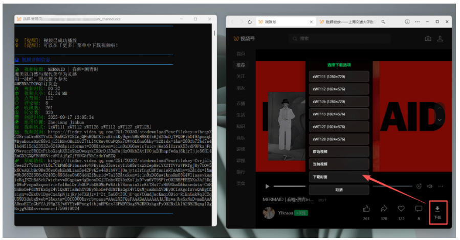 图片[4]-Github热门工具，视频号下载神器又来了！一键注入下载按钮，轻松下载，使用便捷wx_channel-低成本创业项目大全｜短视频带货+AI副业变现｜知行创业网